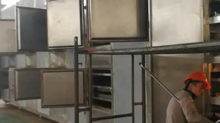 Professional Sludge Drying Machine Mesh-Belt Dryer